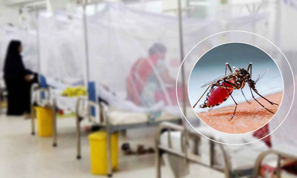গত ২৪ ঘণ্টায় ডেঙ্গুতে আরও ১৪ জন হাসপাতালে ভর্তি, মৃত্যু নেই