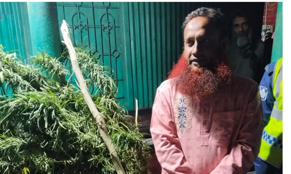 কাজিপুরে যৌথ অভিযানে গাঁজা গাছসহ সাবেক যুবদল নেতা গ্রেপ্তার
