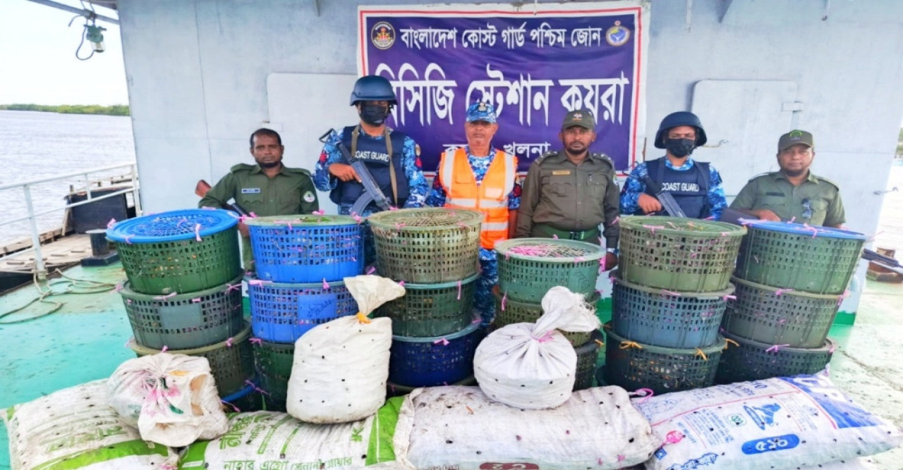 সুন্দরবনে কোস্ট গার্ডের অভিযানে ৮৫০ কেজি কাঁকড়া জব্দ