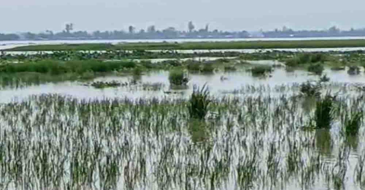 কুড়িগ্রামে নদীর পানি বৃদ্ধি, নিম্নাঞ্চল প্লাবিত