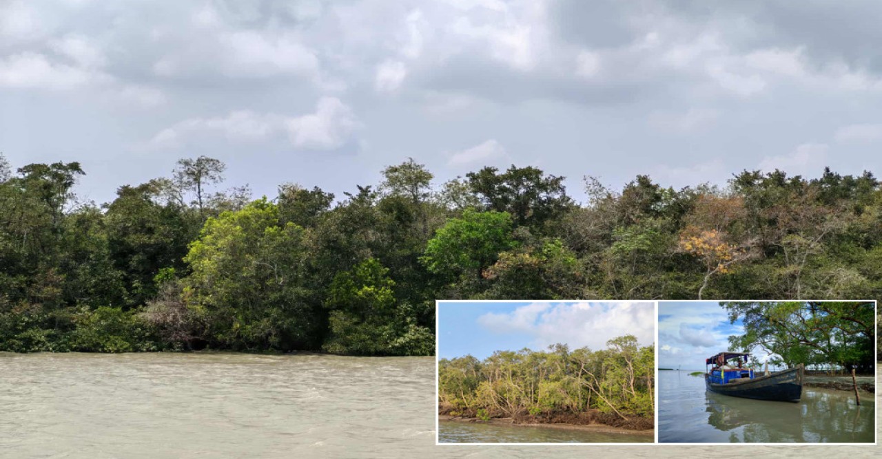 জলবায়ু পরিবর্তনে উপকূলীয় জীবনে বিপর্যয়: খুলনা বিশ্ববিদ্যালয়ের গবেষণায় চরম মানবিক সংকটের চিত্র