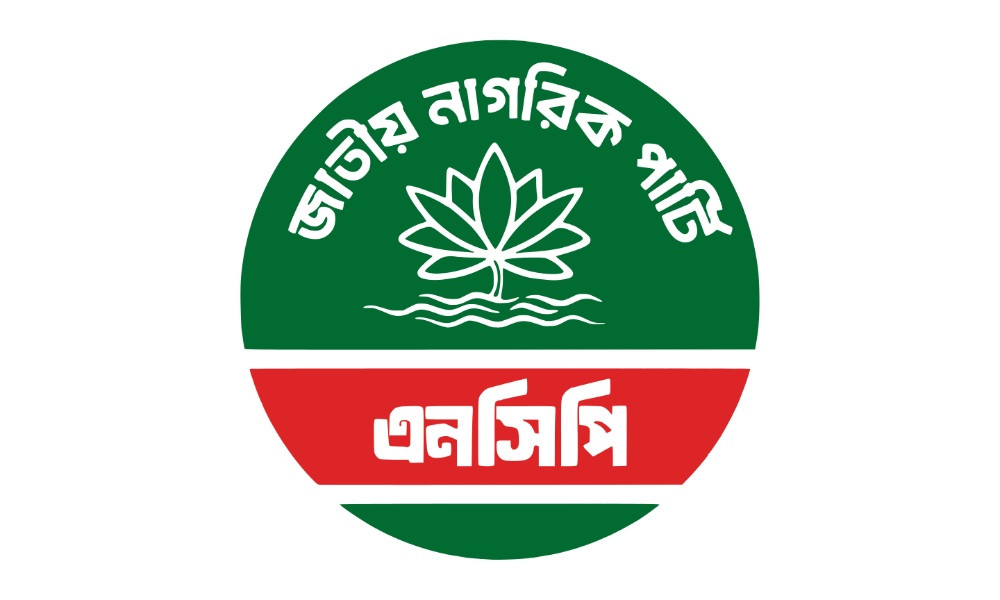 এনসিপি সংসদ সদস্যরা সংবিধান সংস্কার পরিষদের শপথ নিল না, মন্ত্রিসভার শপথেও উপস্থিত হবেন না