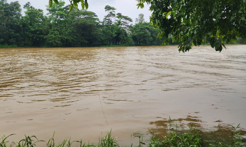 ফেনীতে বাড়ছে মুহুরী নদীর পানি, বন্যার শঙ্কায় আতঙ্কিত স্থানীয়রা