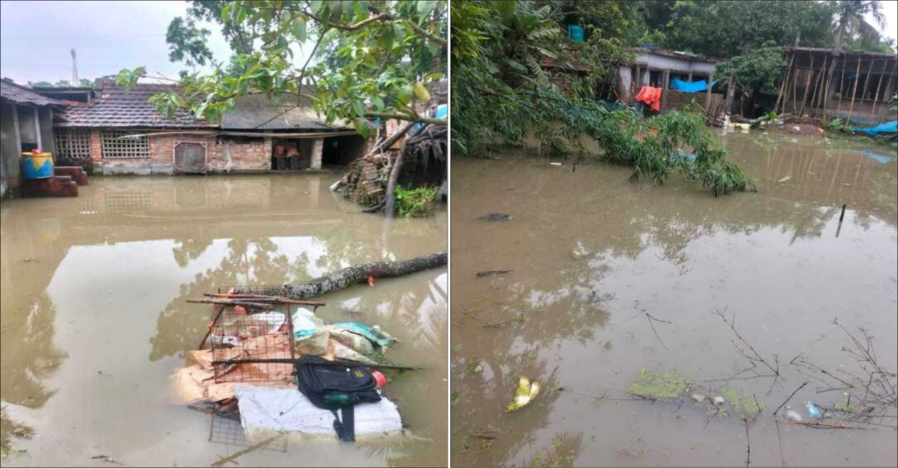 আশাশুনিতে সাতদিনের বৃষ্টিতে প্লাবিত জনপদ, পানিবন্দি হাজারো মানুষ