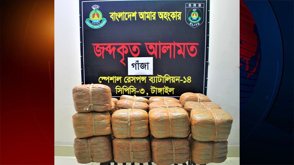 সখিপুরে ১০০ কেজি গাঁজাসহ তিন মাদককারবারি গ্রেফতার