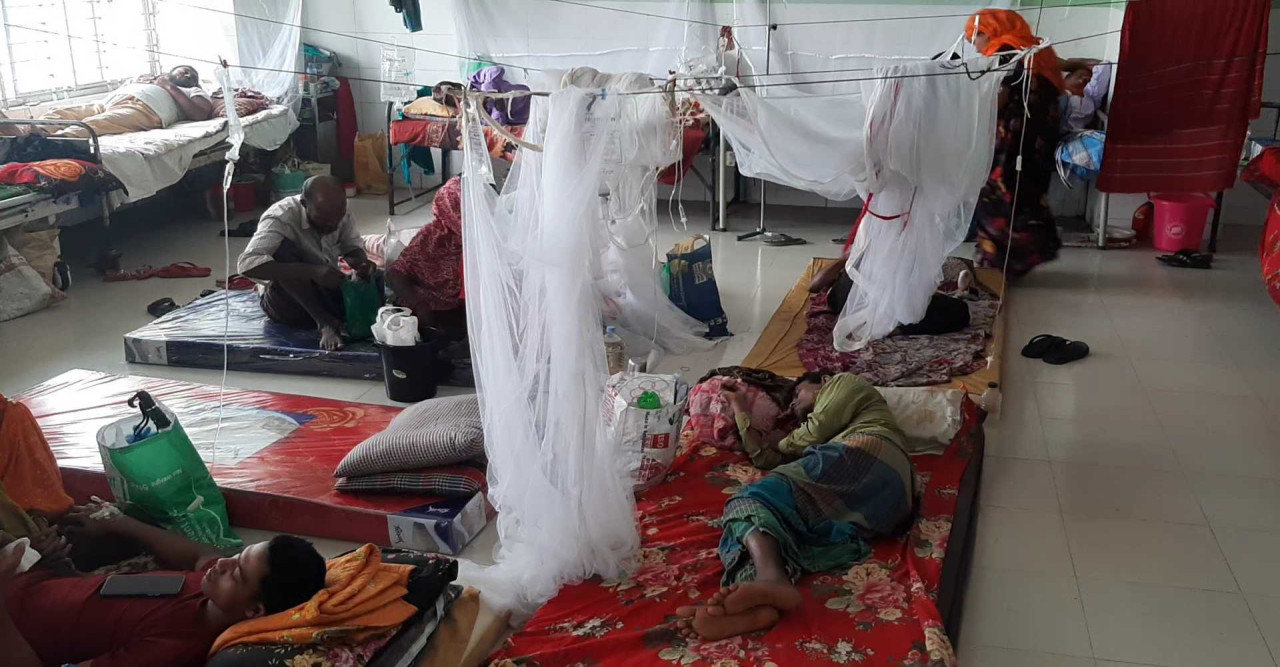 ডেঙ্গুতে আরও দুইজনের মৃত্যু, মোট মৃতের সংখ্যা ৮১