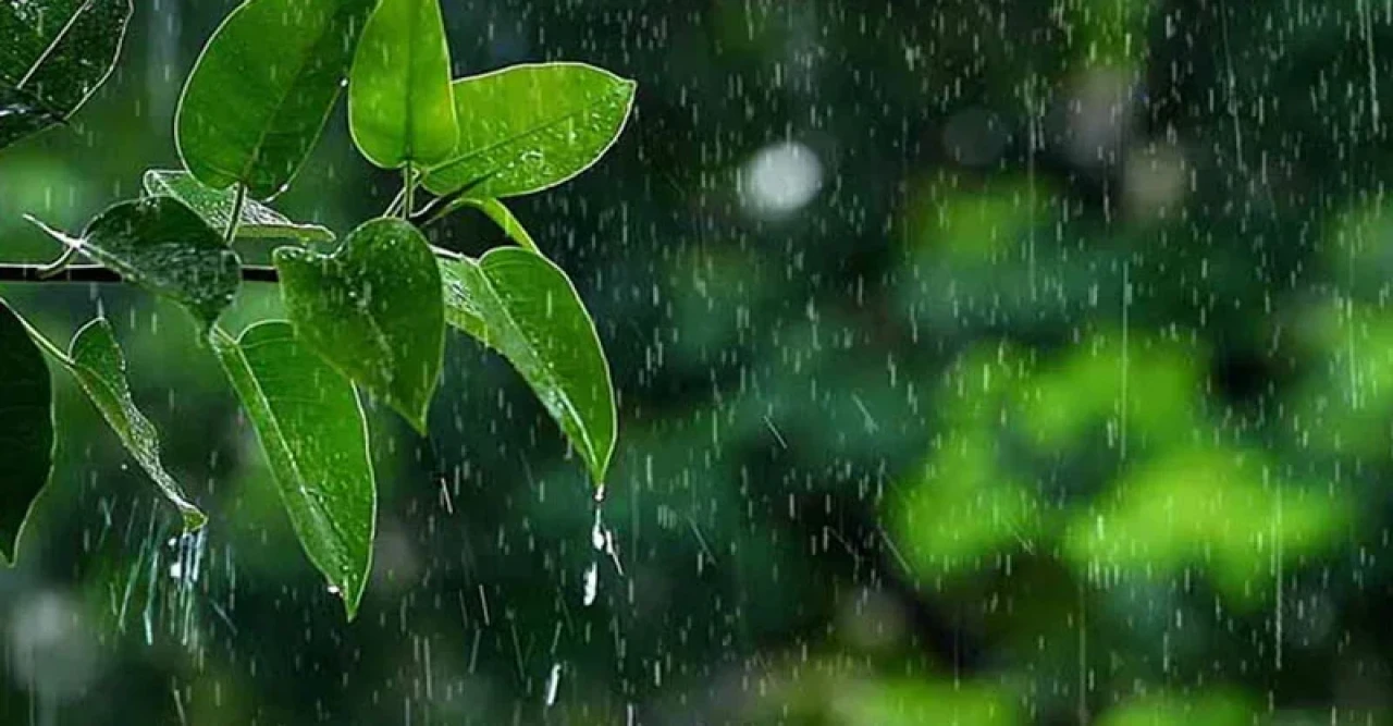 তাপপ্রবাহে ভুগছে দেশ, দু-এক জায়গায় হতে পারে বজ্রসহ বৃষ্টি