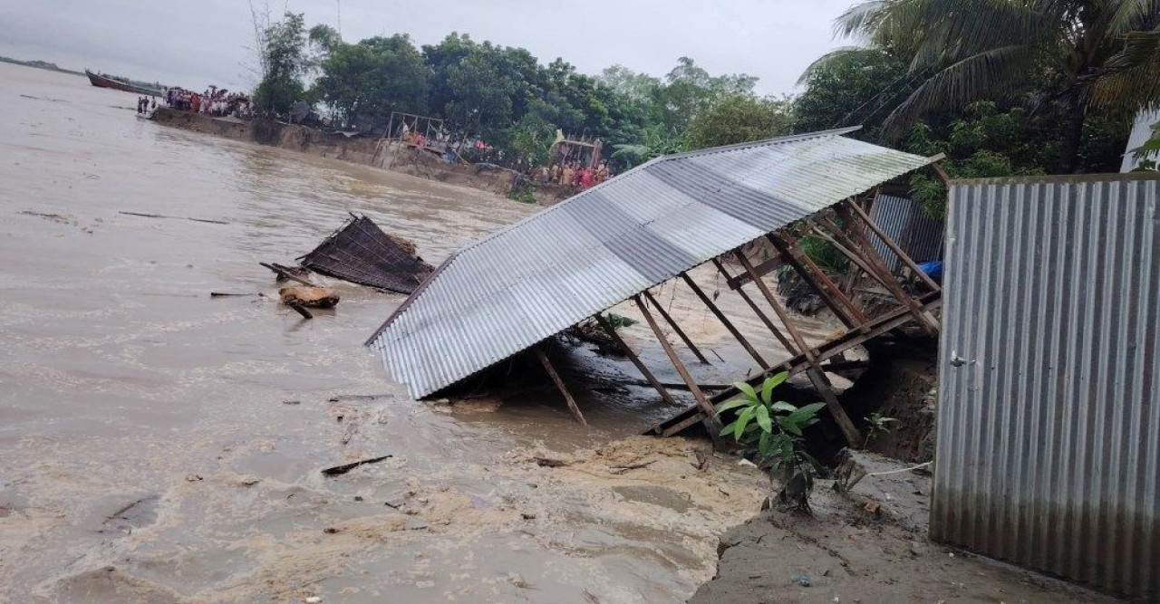 পদ্মার তীব্র স্রোতে শরীয়তপুরে ১১০ মিটার রক্ষা বাঁধ ধসে পড়েছে