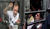 দিল্লিতে বিক্ষোভ মিছিল থেকে রাহুল গান্ধীসহ একাধিক বিরোধী এমপি আটক