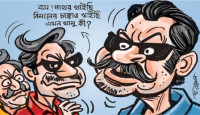 বিমানের ১০ চাকা গায়েব: বিক্রি হয়েছে বেসরকারি এয়ারলাইনসে