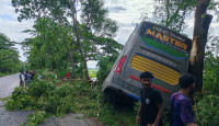 গোপালগঞ্জে বাস খাদে, আহত অন্তত ২০