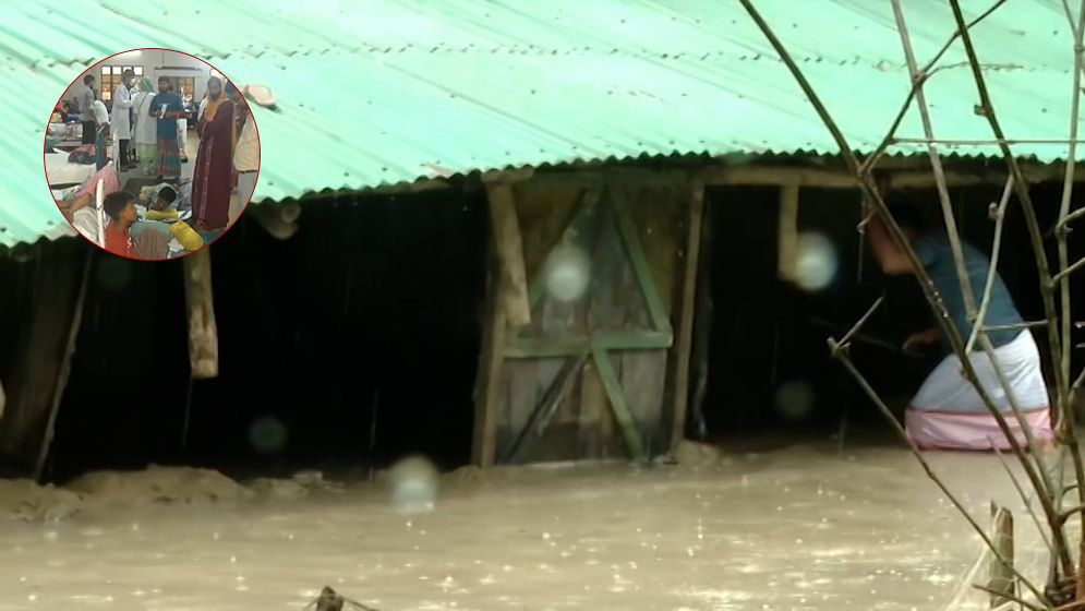 চট্টগ্রামে বন্যার পানিতে বেড়েছে সাপের উপদ্রব, এক সপ্তাহে দংশনের শিকার ৯৩ জন